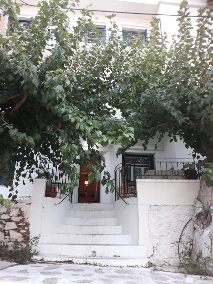 Τουριστικεσ Επιπλωμενεσ Κατοικιεσ Φροσω Χωριατη Apartment Agios Kirykos (Ikaria)